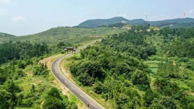 府河之畔看振兴 | 宜业宜游新图景