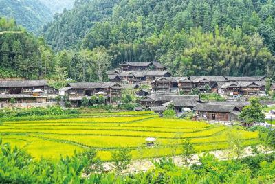 武陵深处逢恩施——巴山楚水与土苗风情的澎湃交响