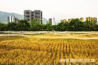州城山水相依分外美