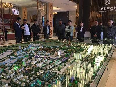 市政协副主席向煦调研全市房地产业发展现状