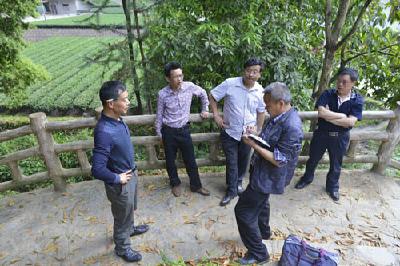 省林业厅到恩施市开展森林资源管理调研