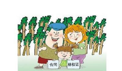 湖北省森林资源流转条例