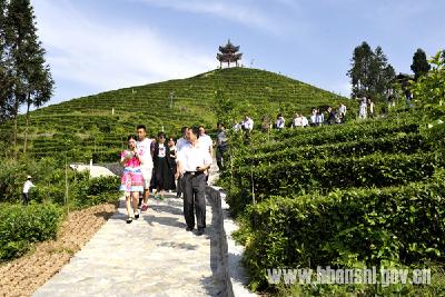 湖北省武陵山片区建设联络员研讨班到恩施考察