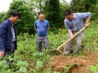 （锐眼看恩施）贫困村里的扶贫博士