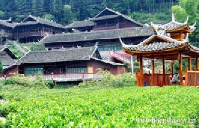 杨顺高：戽口印象