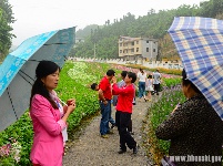 “花经济”添彩恩施旅游