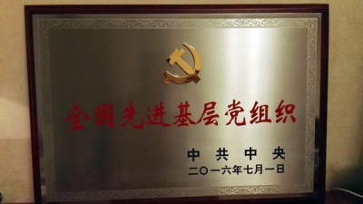 龙凤镇党委被授予“全国先进基层党组织”称号