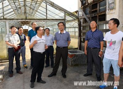 向前进到三岔乡调研土豆产业发展情况