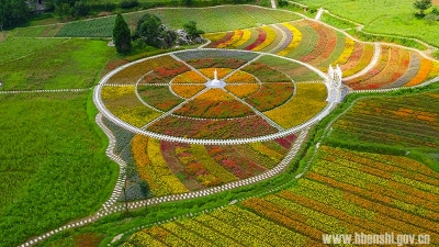 屯堡“万花云海”花园开园迎客