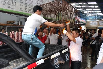 多部门联合严格规范家禽屠宰及经营行为