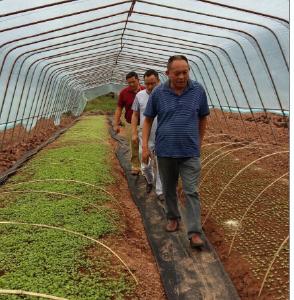 市农业局：积极开展灾后恢复生产工作