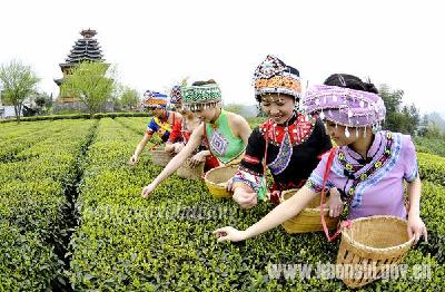 （恩施旅游，走起！）国庆将至 各景区准备就绪