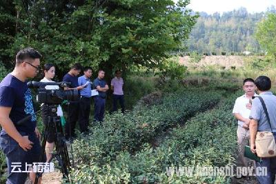 《三农湖北》走进恩施龙凤