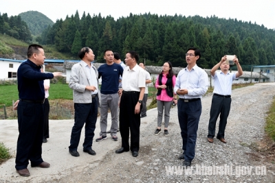 王智才调研恩施畜牧产业链建设