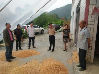 省综改办考核恩施市2015年度农村公益性服务“以钱养事”激励机制