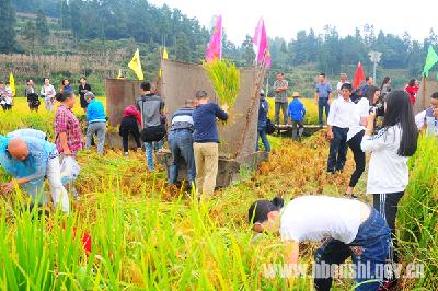（记者走基层）“你收割来我打谷”