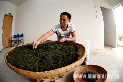 黄泽永：悠悠茶山情