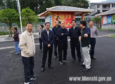谭文骄到龙凤镇调研易地扶贫搬迁和产业发展情况