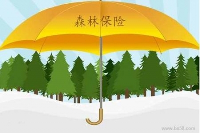 恩施市圆满完成森林保险三年试点工作