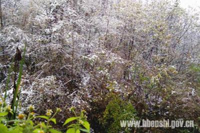 恩施市高山乡镇迎来今冬第一场雪