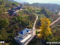 绝壁上的村庄千年银杏惊艳引羡