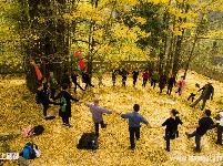 绝壁上的村庄千年银杏惊艳引羡