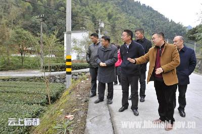重庆市黔江区调研组到恩施市调研