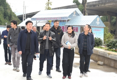 农业部加工局一行到恩施市调研