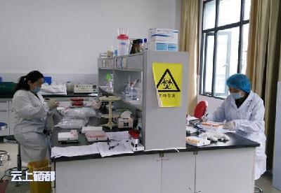 恩施市动物疫病预防控制中心检测抗体水平