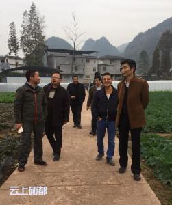 市农业局：基层农技推广补助项目建设获好评