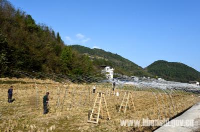 （记者走基层）灾后重建带来新生活