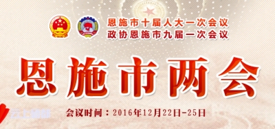 学习传达恩施市两会精神