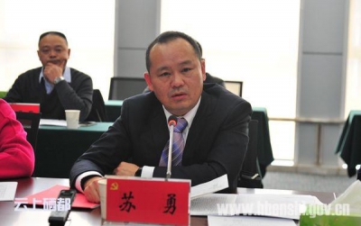 (聚焦党代会)苏勇参加第五代表团讨论