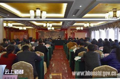 恩施市部署推荐提名党的十九大代表候选人等工作