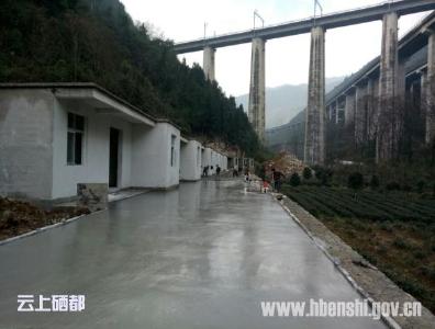 白　果：集中建房施工忙