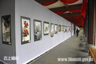 恩施市艺术展览大展恩施之美