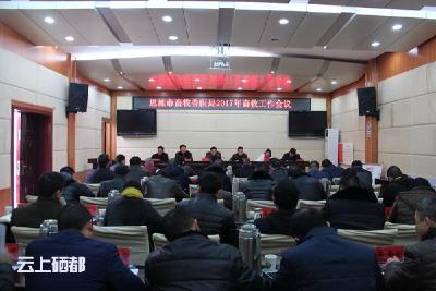 召开2017年畜牧工作会
