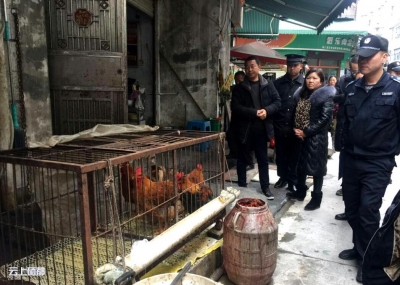 城管联合多部门严查活禽交易市场