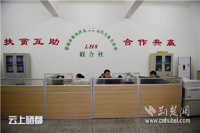【荆楚网】恩施龙凤涉农企业20天获500万银行贷款是如何做到的？