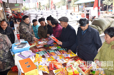 崔家坝：农民选购放心种