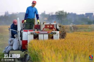 中央重磅文件出炉!农民将成为令人羡慕的职业