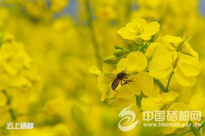 特色产业拓宽致富路（图）