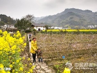 麂子渡“农旅合一”春意浓