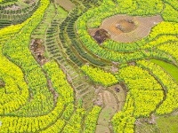 旅游扶贫促旧铺变“热炕”