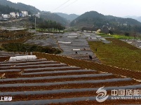 （锐眼看恩施）三岔抢搭马铃薯主粮化快车