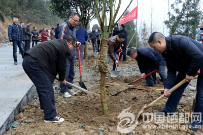 屯　堡：驻点单位相约花枝山植树（图）
