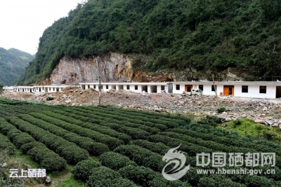 （精准扶贫）易地扶贫搬迁结硕果