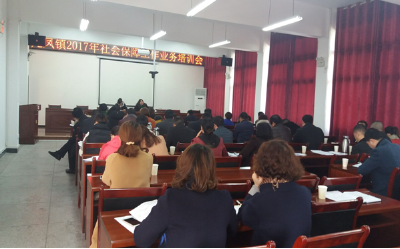 龙凤镇精心部署全民参保登记工作