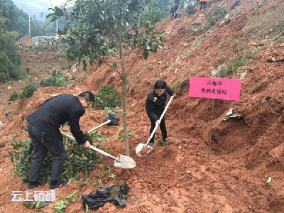 六角亭：食药监管所干部参加义务植树活动