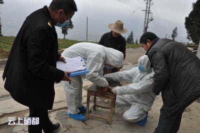 沐　抚：检测鸡血清 强化H7N9病毒防控